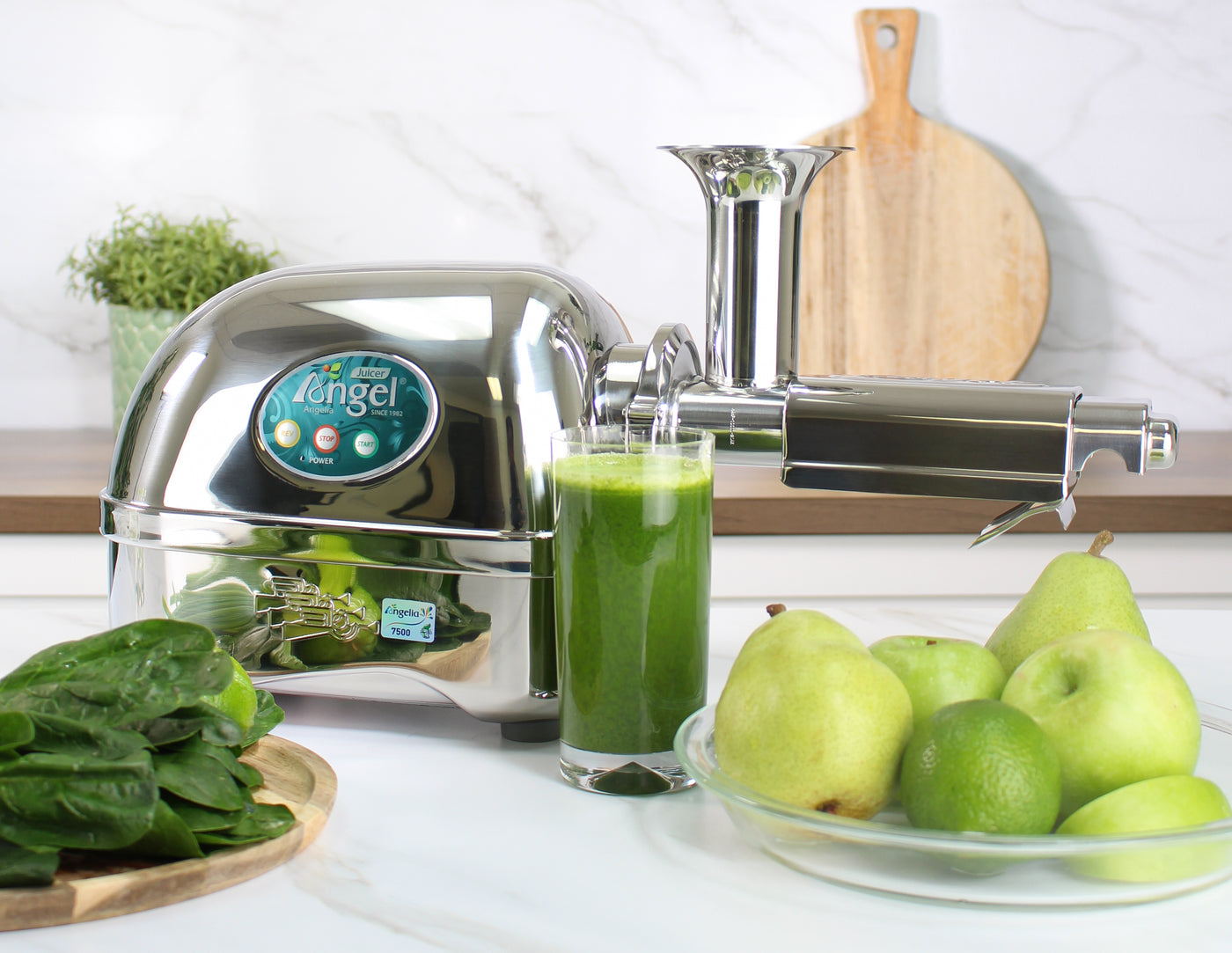 Angel 7500SFH Cold Press Slow Juicer 110-120V/60Hz (USA)