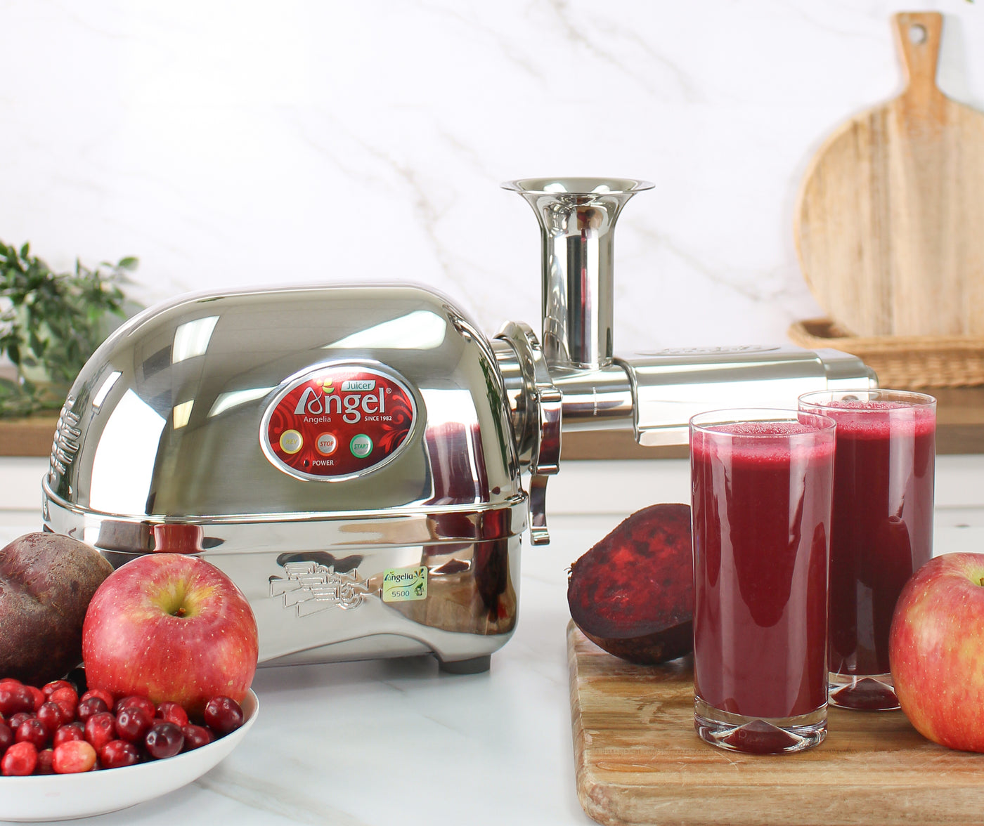 Angel 5500SFH Cold Press Slow Juicer Korean / 110-120V/60Hz (USA)